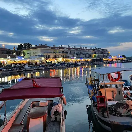 Palmiye *
